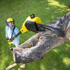 Best Stump Grinding and Removal  in Romulus, MI